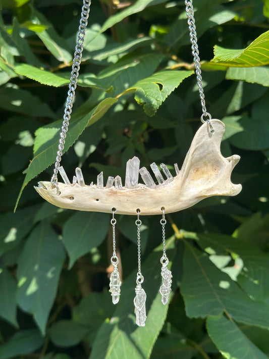 Fox Mandible Quartz Crystal Necklace