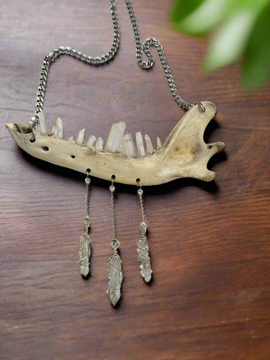 Necklace with a mandible and crystal pendants on a white background