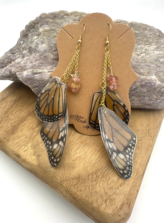 Real Monarch Butterfly Wing earrings with Strawberry Quartz accents, preserved in laminate, on non-tarnish brass chain with hypoallergenic hooks.