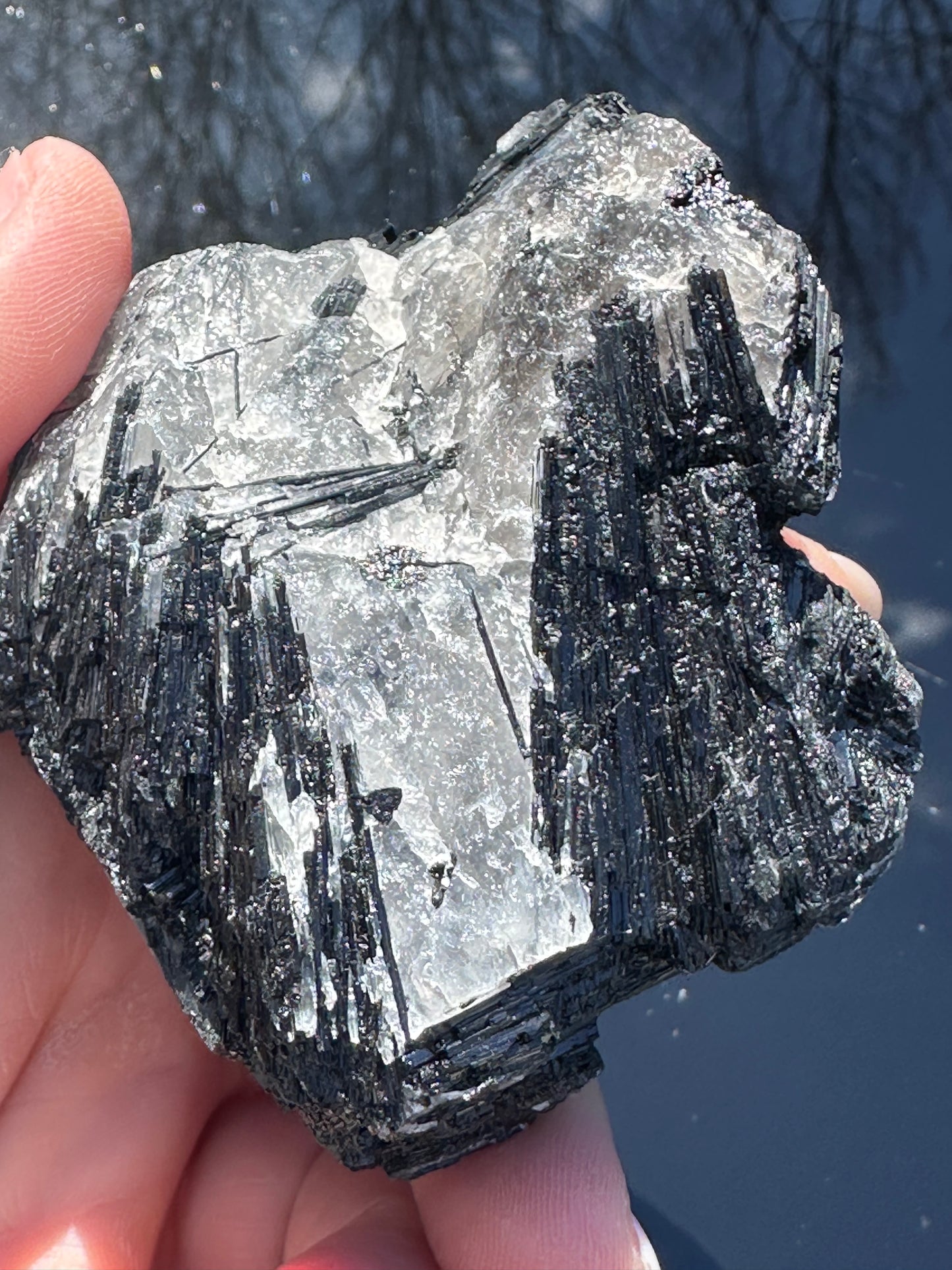 Tourmalinated Quartz