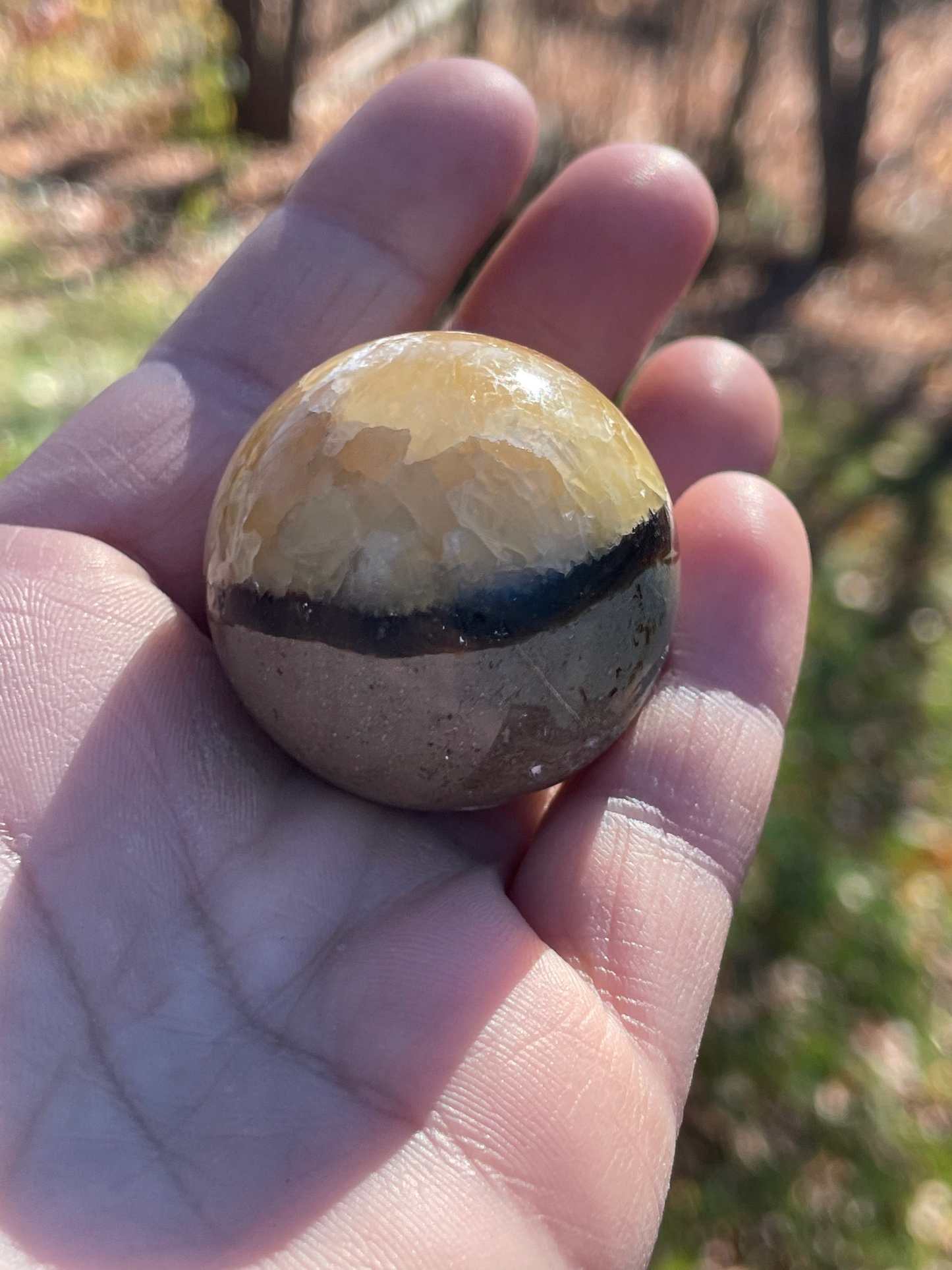 Septarian Sphere